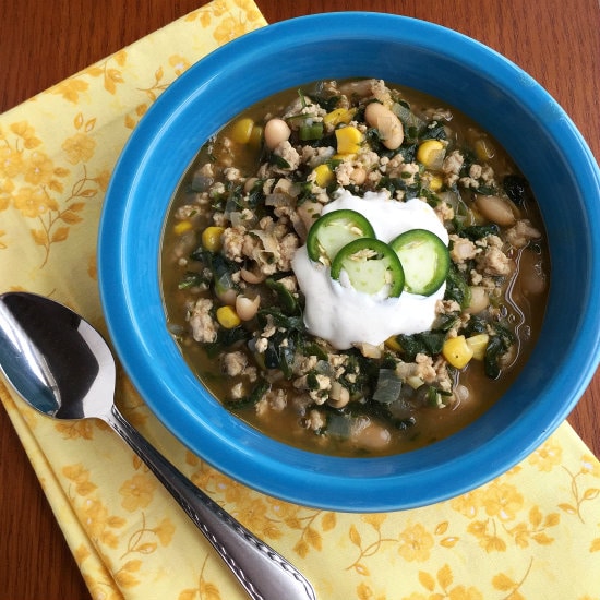 Mexican Chicken and White Bean Soup